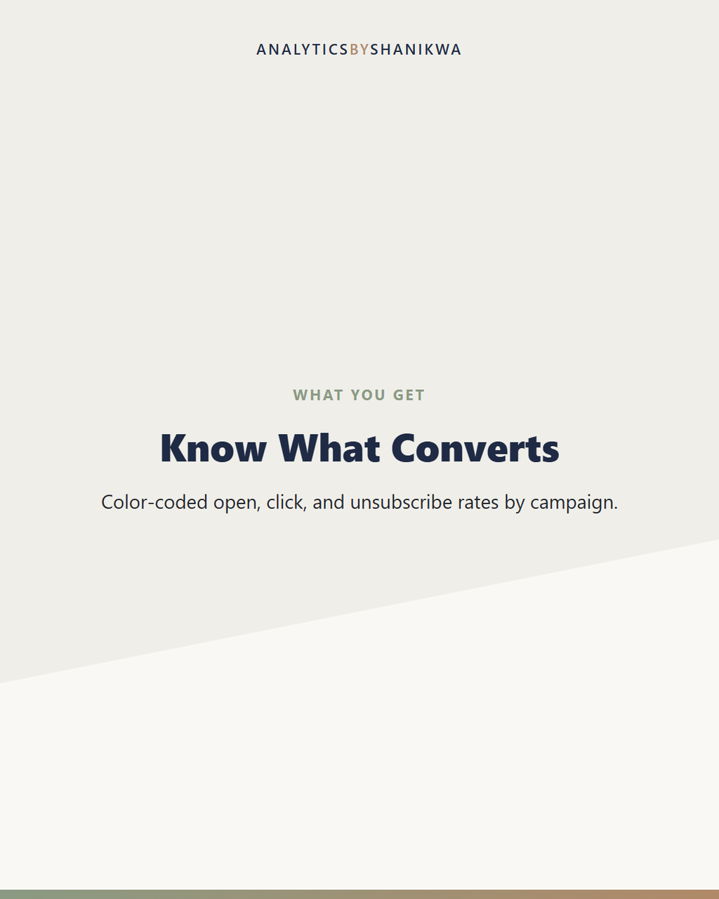 Email List Growth & Funnel Tracker — what's included
