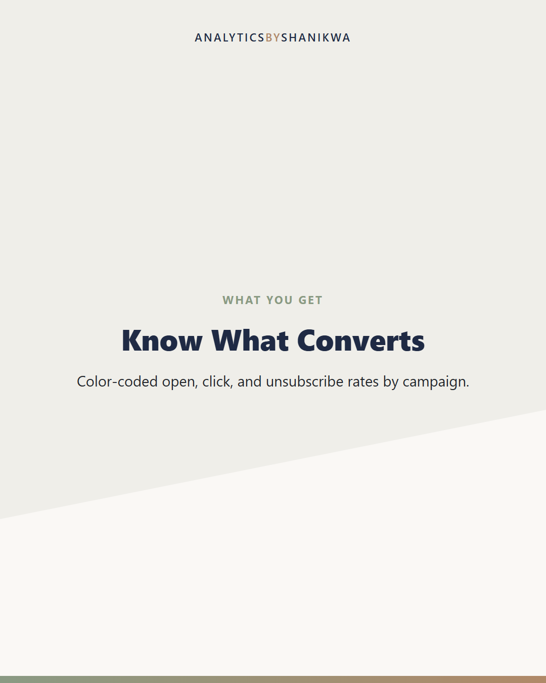 Email List Growth & Funnel Tracker — what's included