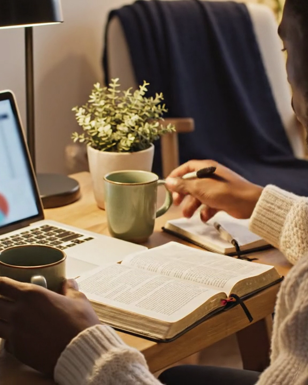 One-Year Bible Reading Plan System — who it's for