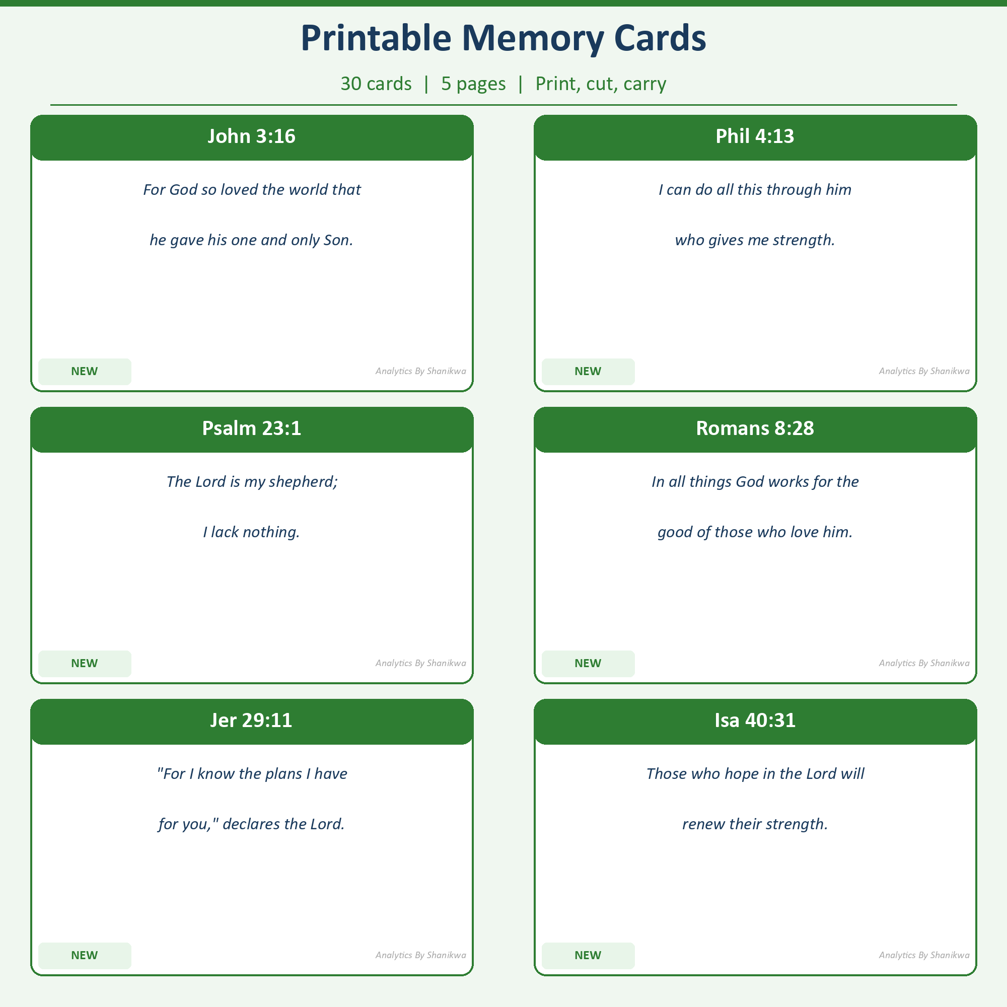 Scripture Memory System verse tracker view
